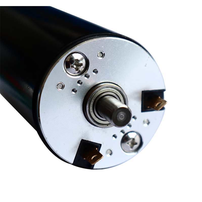 50mm Carbon Brush DC Motor